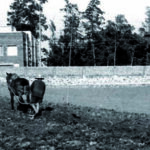 Els Balsells de la Boada
